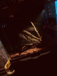 -奇文堂专业纹身馆