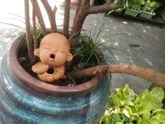 -旅马餐厅(茅家埠店)