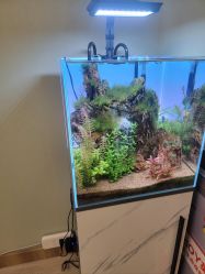 -Lumi露米·美甲美睫品质店