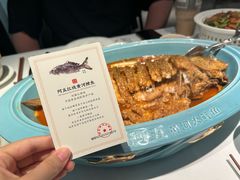 -阿五黄河大鲤鱼(英协路店)
