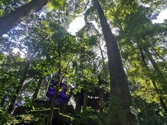 -都江堰普照寺