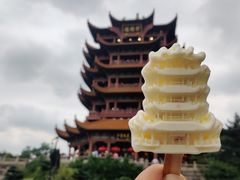 -黄鹤楼公园(黄鹤楼)