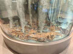 -海底捞大排档火锅(打浦路店)