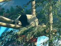 -鄂尔多斯野生动物园