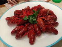 -杨氏青龙虾·羊蝎子(珠江路店)