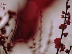 -杭州城北体育公园