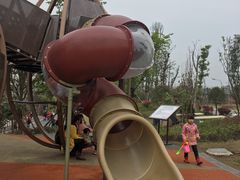 -枫香湖儿童公园