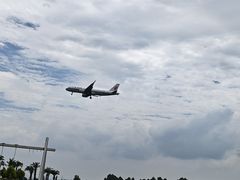 -空港花田景区