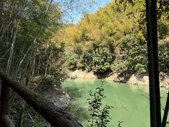 -四明山国家森林公园