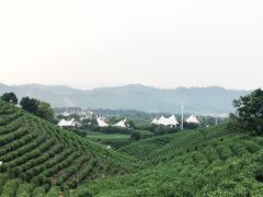 -帐篷客·溪龙茶谷度假酒店