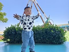 -秦皇岛乐岛海洋王国