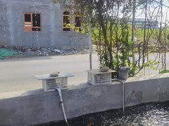 -北京龙庆四季香农家饭庄·灶台鱼·碳烤虹鳟鱼(龙庆峡店)