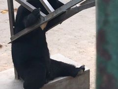 -保定市动物园