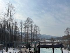-横道河子东北虎林园