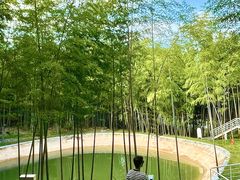 -泽雅景区