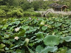 -金山公园
