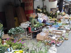 -循礼门鲜花花市(武汉循礼门店)