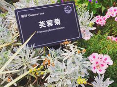 -东莞植物园