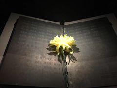 -侵华日军南京大屠杀遇难同胞纪念馆