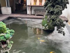 -觀芷隐轩