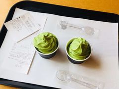 -雪绿茶博物馆