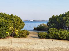 -霞山观海长廊