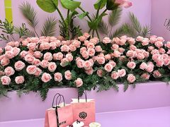 -鲜芒多·杨枝甘露(摩尔城A座10楼店)