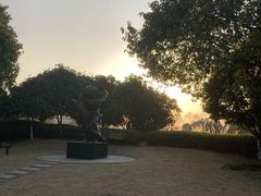 -洋湖国家湿地公园