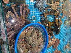 -巧克力渔家.小船海鲜胶东菜(万平口店)