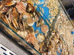 -半岛听涛蒸汽海鲜自助(K11店)