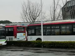 -上海大学生体育中心游泳馆(松江店)