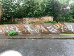 -上海滨江森林公园