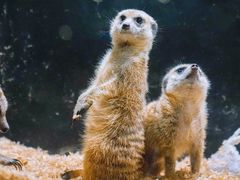 -太平洋海底世界