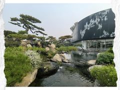 -罗红摄影艺术馆