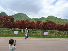 -云漫湖生态度假公园