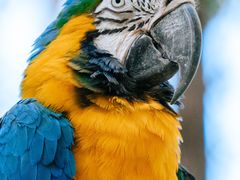 -北京野生动物园