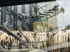 -石排湾郊野公园