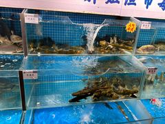 -胖姐渔村(中源大道店)