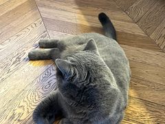 -Me Coffee下午茶艺术空间