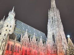 -斯蒂芬主教座堂(Stephansdom)