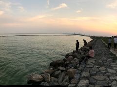 -合肥滨湖国家森林公园