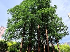 -上海市总工会沪东工人文化宫