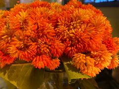 -鼎盛蜀坊·重庆江湖菜(市桥地铁站店)