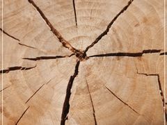 -HAPPEN(江川东路店)