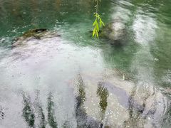 -阿水大杯茶(泉城路店)