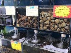 -蚝专家(北滘店)