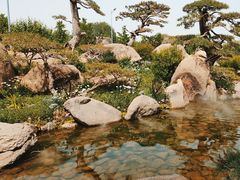 -罗红摄影艺术馆