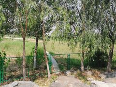 -绿堤公园
