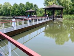 -同里国家湿地公园