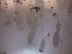 -格桑花开药膳蔬食文化空间